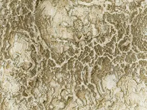 Salt Patterns: Abstract patterns of saline deposits at the salt works of Walvis Bay