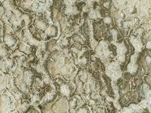 Salt Patterns: Abstract patterns of saline deposits at the salt works of Walvis Bay