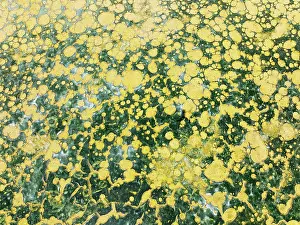Saline: Abstract patterns in the shallow water of a saline pond in the marshland of the Bahía de Cádiz Nature Reserve