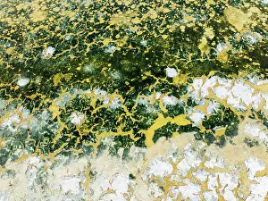 Saline: Abstract patterns in the shallow water of a saline pond in the marshland of the Bahía de Cádiz Nature Reserve