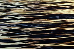 Havana: Abstract sunrise reflection on water, Havana