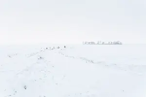 Middag: Abstract Winterlandscape with snow covered track