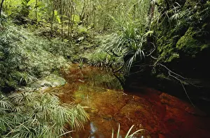Acid: Acidic Brown Stream