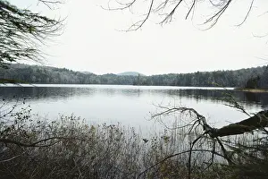 Acid: Acidic Lake in Adirondack State Park