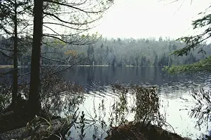Acid: Acidic Pond, Adirondack State Park