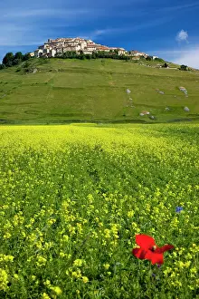 Piano: Acres of yellow wildflowers below the medieval