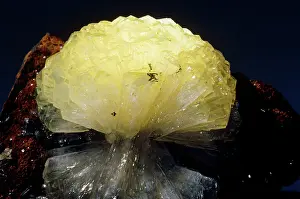 Radiating: Adamite from Mapimi, Mexico
