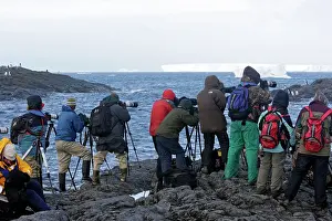 Photographers: Adelie Penguin - photographers - Gourdin Island