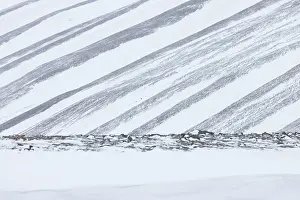 Longyearbyen: Adventdalen Structures
