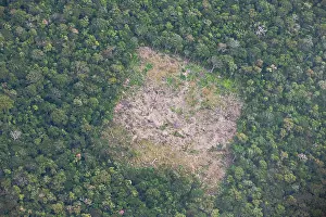 Cutting: Aerial of Amazon forest clear cutting