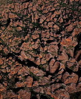 Bungle: Aerial - Bungle Bungle Range almost vertical shot