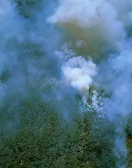 Wildfires: Aerial - Bushfire - fire lit by Aboriginal people