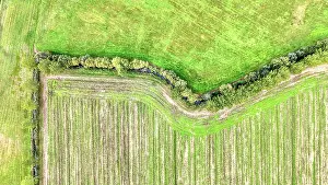 Michele Molinari: Aerial of a field