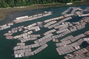 Logging: Aerial of mass of logs in water a wood train