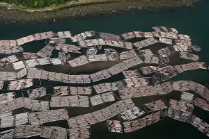 Logging: Aerial of mass of logs in water a wood train