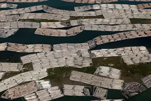 Logging: Aerial of mass of logs in water a wood train