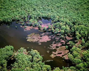 Murray: Aerial - Murray River and billabong