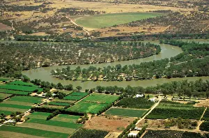 Murray: Aerial - Murray River irrigation: citrus orchards