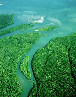 Newcastle: Aerial - Newcastle Bay, Kennedy Inlet and mangroves