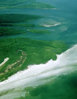Newcastle: Aerial - Newcastle Bay and Kennedy Inlet with mangroves