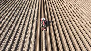 Working: An aerial photo shows a tractor in a large asparagus