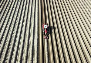 Working: An aerial photo shows a tractor in a large asparagus