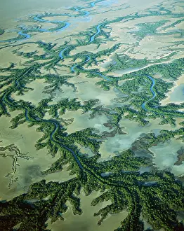 Dendritic: Aerial - Roper River delta with saline flats and