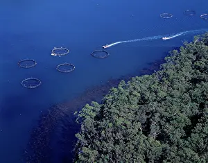 Commerical: Aerial - Salmon farming off Port Arthur (aquaculture)