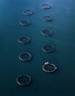 Commerical: Aerial - Salmon farming off Port Arthur (aquaculture)