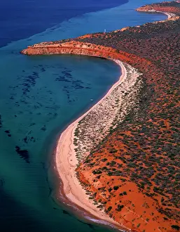 Bight: Aerial - Seagrass bed / dugong habitat at Cape