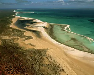 Bight: Aerial - Shell Beach - along Lharidon Bight a beach