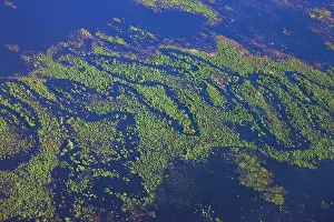 Lowlands: Aerial of small winding river and savannah