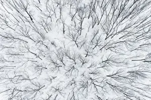 Marion: Aerial of snow-covered woods Stephen A. Forbes State