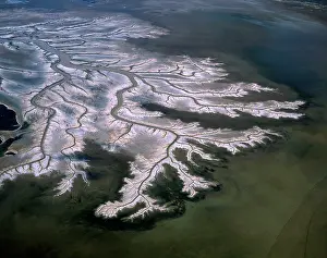 Dendritic: Aerial - Tidal flats along King Sound area, near