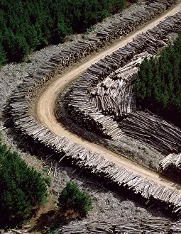 Commerical: Aerial - Timber loading Northeastern