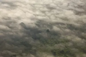 Covering: Aerial view of the Amazon rain forest
