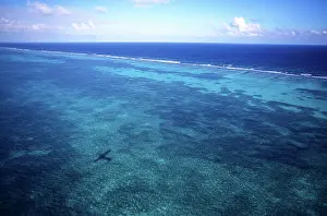 Greg: Aerial view of Barrier Reef, Belize, Central