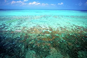 Greg: Aerial view of Barrier Reef, Belize, Central