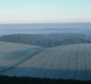 Oilseed: Aerial view of crops in frost, Berkshire, UK