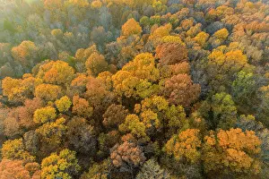 Marion: Aerial view of fall color, Marion County, Illinois