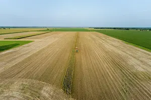 Corn: Aerial view of farmer cutting corn silage for cattle feed