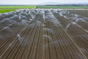 Worker: Aerial view of farmers working in a field gather