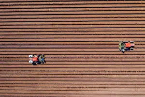 Worker: Aerial view of farmers working in a field gather