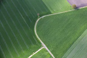 Aerials: Aerial view, field paths, fresh seed