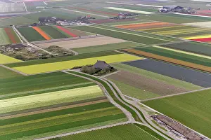 Surrounding: Aerial view of flower field patterns surrounding