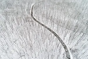 Winding: Aerial view of a fresh snow over the forest and