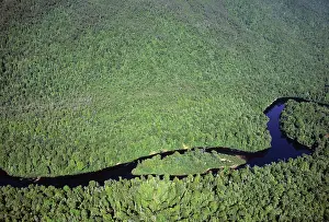 Preserves: Aerial view of Gordon Rivers, Franklin Gordon Wild
