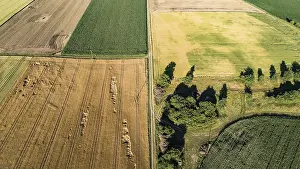 Aerials: Aerial view of grain fields west of Augsburg