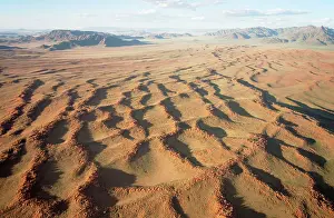 Ridges: Aerial view of grass-grown sand dunes and isolated