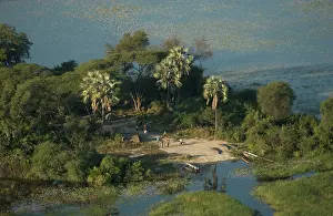 Tents: Aerial view of Island camping